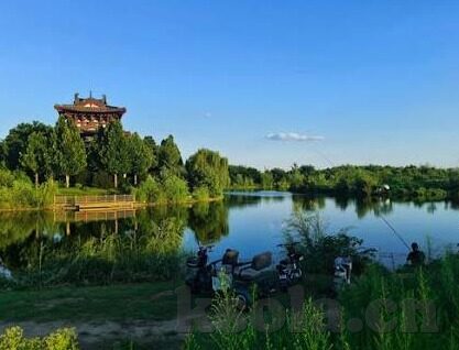 91麻豆天美星空蜜桃传媒-揭开新媒体视野的斑斓色彩，91麻豆天美星空与蜜桃传媒的多元互动